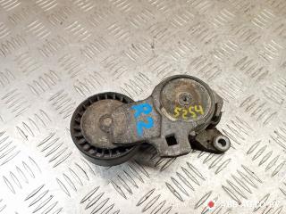 натяжитель Peugeot 407 1 поколение 2006, 2.0 л., RFN (EW10J4), бензин, универсал, TF070, F30363