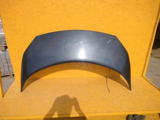 капот Renault Grand Scenic 2 поколение 2006, 1.9 л., дизель, МКПП, минивэн