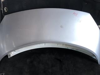 капот Renault Scenic 2 поколение [рестайлинг] 2008, 1.9 л., F9Q 818, дизель