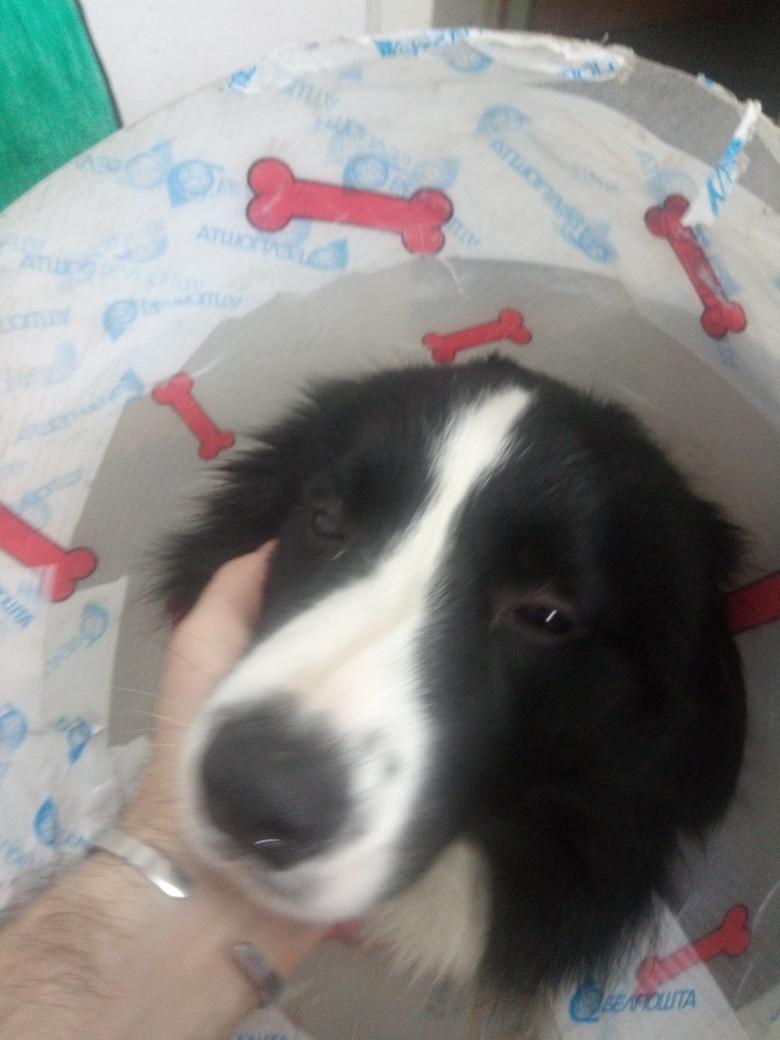 DVD Aston Martin 2000, универсал - фото №1