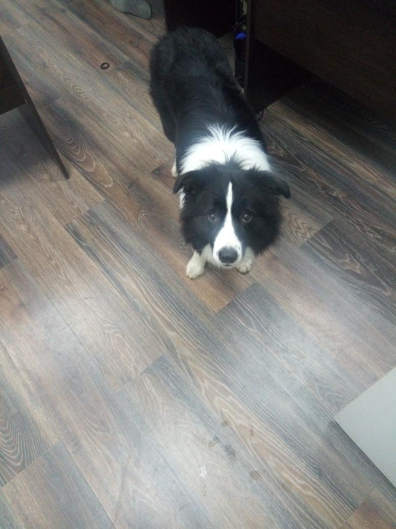 combox BMW 3 серия E46 2003, 3333 - фото №1