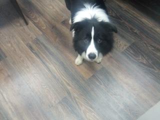 combox BMW 3 серия E46 2003, 3333