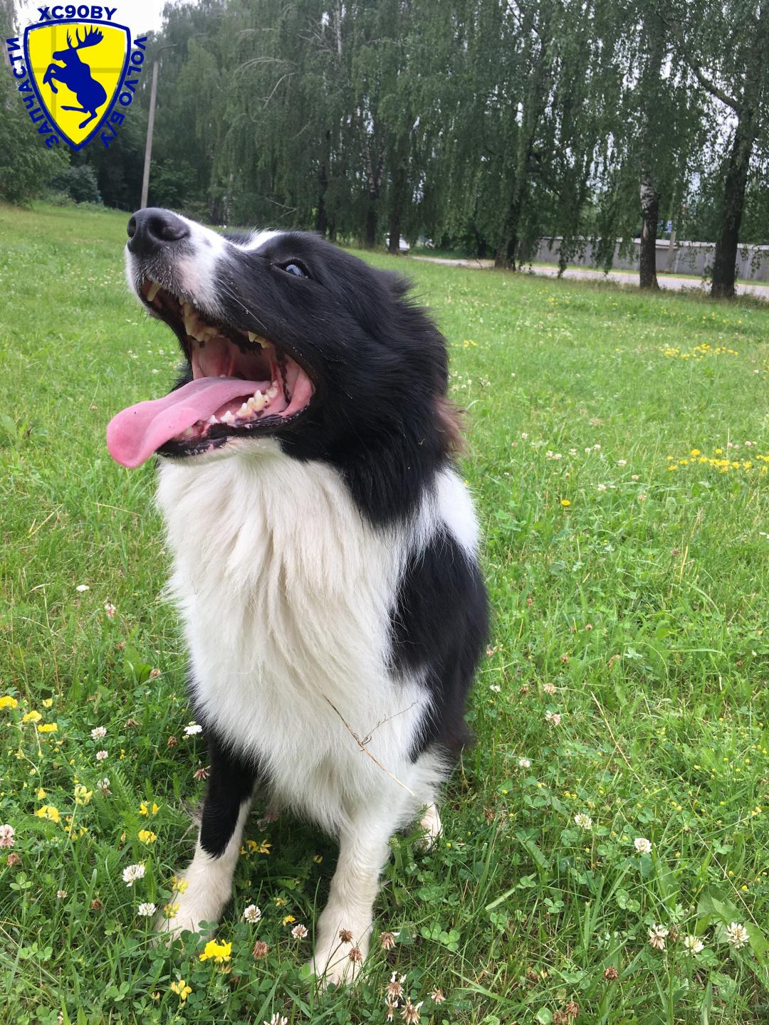 бачок омывателя BMW 2011 - фото №1