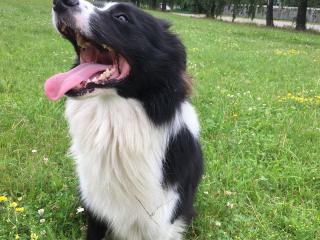 бачок омывателя BMW 2011