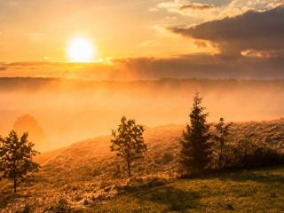 дифференциал BMW 1 серия E81/E82/E87/E88 (2004 - 2007), 1.5 л., дизель