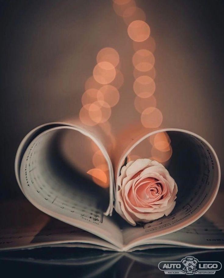 combox BMW 1 серия E81/E82/E87/E88 (2004 - 2007), 1.5 л., дизель - фото №1