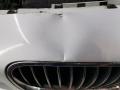 передняя часть (ноускат) BMW 5 серия F07/F10/F11 2011, 3.0 л., дизель, АКПП, седан, R0B2B3F22K1V1 - фото №9