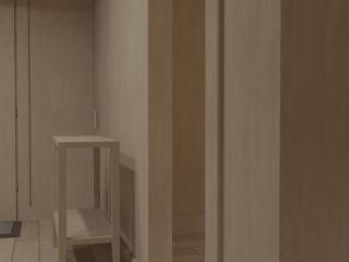 молдинг переднего бампера BMW 2011