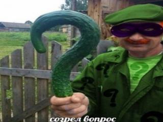 cайлентблок Toyota Camry 8 поколение XV50 [рестайлинг] ACV40 2015, 3.5 л., бензин, МКПП, белый, полный привод