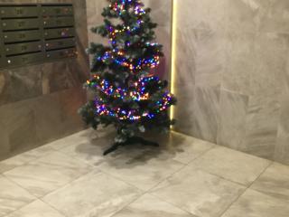 молдинг переднего бампера BMW 2011