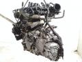 двигатель Hyundai Accent 2 поколение (LC) [рестайлинг] 2003, 1.6 л., бензин, хетчбэк 5 дв., G4ED - фото №3