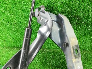 петля капота правая Infiniti G 4 поколение [рестайлинг] 2010, 3.7 л., VQ37VHR, бензин, АКПП, b30, седан, задний привод