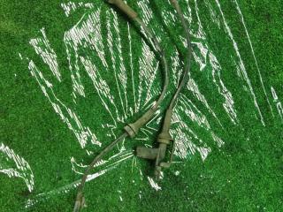 датчик ABS Infiniti G 3 поколение 2004, 3.5 л., VQ35DE, бензин, АКПП, черный, седан, задний привод