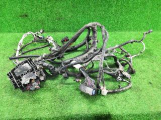 проводка двигателя Dodge Journey 1 поколение [рестайлинг] 2012, 3.6 л., ERB, бензин, АКПП, черный, минивэн, полный привод