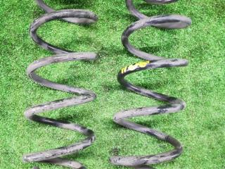 пружина задняя Suzuki Vitara 2 поколение 2015, 1.6 л., M16A, бензин, АКПП, черный, внедорожник 5 дв., передний привод, правый руль