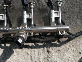 топливная рампа Ford Escape 3 поколение C520 2015, 1.5 л., бензин, АКПП, белый, внедорожник 5 дв., правый руль, DS7G9D280DB, B0289121, B0289121S4ZHA