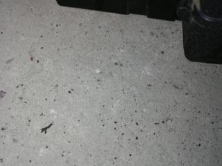 блок предохранителей Mazda MPV LW 2002, 2.3 л., L3, бензин, АКПП, черный, минивэн, правый руль