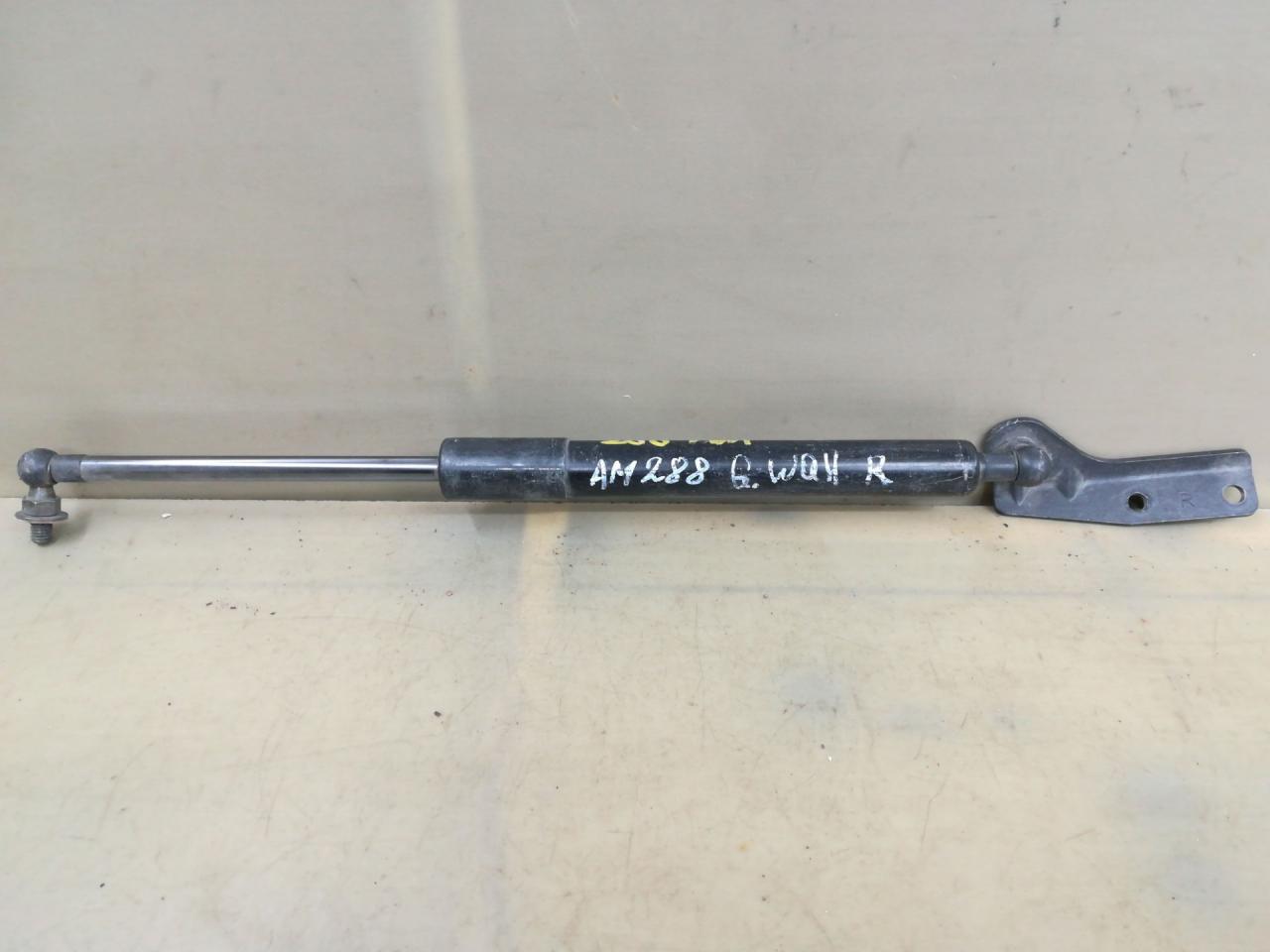 амортизатор крышки багажника (3-5 двери) Great Wall Hover H5 1 поколение 2013, 2.0 л., дизель, АКПП, синий, внедорожник 5 дв., правый руль - фото №1