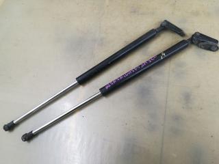 амортизатор крышки багажника (3-5 двери) Mazda 6 GH 2008, 2.5 л., L5-VE, бензин, АКПП, серый, хетчбэк 5 дв., правый руль, 17D20AE1, 17D10AA1