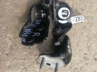 петля двери Ford Kuga 2 поколение 2015, 2.0 л., T8MB, дизель, АКПП, черный, внедорожник 5 дв., правый руль