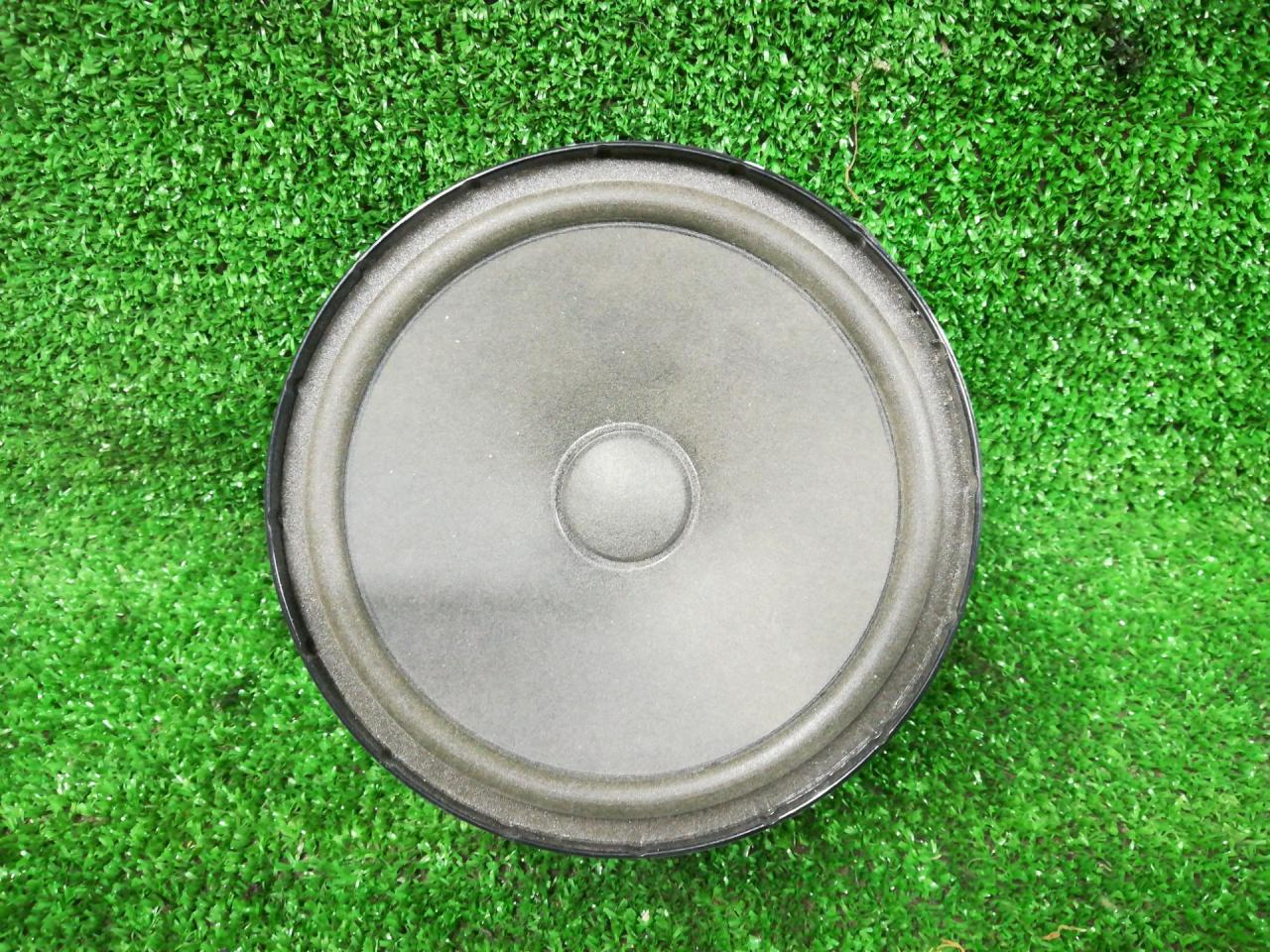 динамик двери Volkswagen Golf 6 поколение 2010 - фото №1