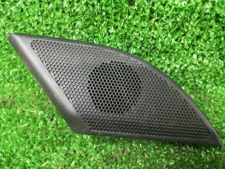 динамик Opel Antara 1 поколение [рестайлинг] 2014, DL2141A, 1520009650