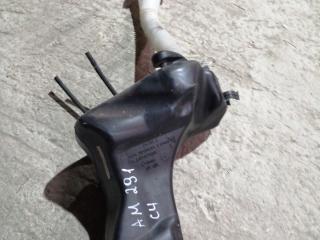 бачок омывателя Citroen C4 1 поколение [рестайлинг] 2009, 1.6 л., бензин, АКПП, синий, хетчбэк 5 дв., правый руль, 9684507480