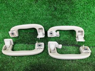 ручка внутренняя потолочная Buick Encore 1 поколение [рестайлинг] 2019, бензин, АКПП