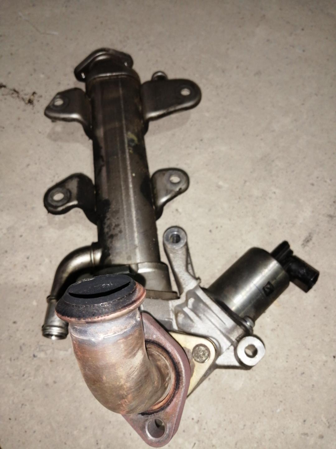 клапан EGR SsangYong Rodius 1 поколение 2007, 2.7 л., D27DT, дизель, АКПП, серебристый, правый руль - фото №1