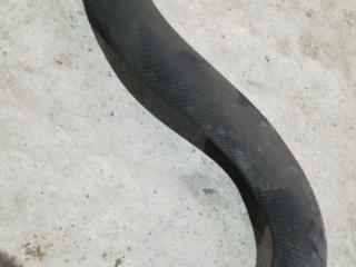 патрубок радиатора Mazda Xedos 9 1 поколение [2-й рестайлинг] 2000, 2.0 л., бензин, АКПП, белый, седан, передний привод, правый руль