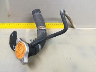 заливная горловина антифриза Subaru Tribeca 1 поколение [рестайлинг] 2008, 3.6 л., EZ36D, бензин, АКПП, серый, внедорожник 5 дв., полный привод, правый руль