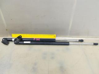 амортизатор крышки багажника (3-5 двери) Mazda CX-7 1 поколение 2007, 2.3 л., L3-VDT, бензин, АКПП, красный, внедорожник 5 дв., полный привод