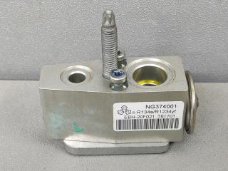 расширительный клапан кондиционера GMC Terrain 2 поколение 2020, 2.0 л., бензин, АКПП, темно-серый (графит), передний привод, NG374001