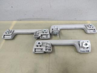 ручка внутренняя потолочная GMC Acadia 2 поколение [рестайлинг] 2021, 3.6 л., бензин, АКПП, красный, внедорожник 5 дв., передний привод