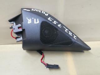 динамик высокочастотный (пищалка) Volkswagen Passat B6 2007, 3.2 л., AXZ, бензин, АКПП, черный, седан, полный привод, правый руль