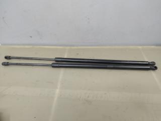 амортизатор крышки багажника (3-5 двери) Ford Escape 3 поколение C520 2014, 1.6 л., бензин, АКПП, красный, передний привод, CJ54S406A10AC, CJ54S406A11AC