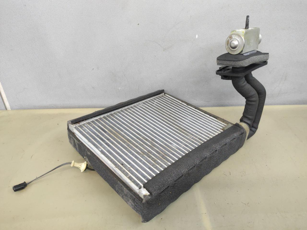 испаритель кондиционера Ford Escape 3 поколение C520 2014, 1.6 л., бензин, АКПП, красный, передний привод - фото №1