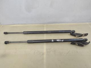 амортизатор крышки багажника (3-5 двери) Chevrolet Equinox 3 поколение 2018, 1.5 л., бензин, АКПП, серый 139х, минивэн, передний привод, 84223872, 84223873