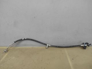 шланг тормозной заднего Acura Integra 4 поколение 2024, 1.5 л., бензин, АКПП, синий, хетчбэк 5 дв., передний привод, GB16897