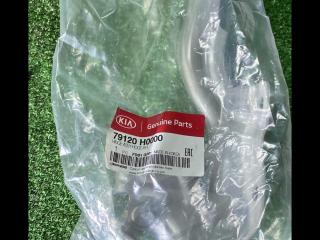 петля капота правая Kia Rio 4 поколение 2018, 79120H0000