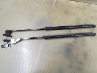 амортизатор крышки багажника (3-5 двери) Ford Fiesta 6 поколение 2012, 1.6 л., бензин, хетчбэк 5 дв., передний привод