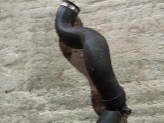 патрубок интеркулера Citroen Xantia 1 поколение 1996, 2.1 л., дизель, МКПП, универсал