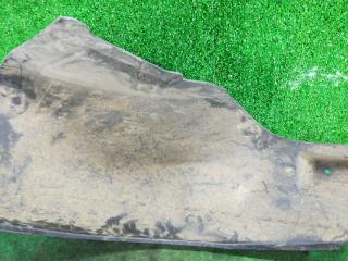 защита арок задняя левая (подкрылок) Dodge Grand caravan 5 поколение 2010, 3.6 л., бензин, АКПП, минивэн, передний привод