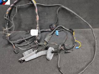 дверная проводка BMW 7 серия F01/F02 [рестайлинг] F02 2014, 4.4 л., N63 B44 B, бензин, АКПП, седан, задний привод, 9262894, 9169241