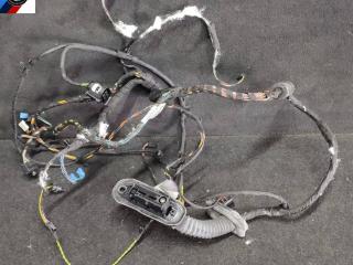 дверная проводка BMW 7 серия F01/F02 [рестайлинг] F02 2014, 4.4 л., N63 B44 B, бензин, АКПП, седан, задний привод, 9147281, 9262870