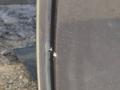 дверь передняя левая BMW 5 серия F07/F10/F11 2011, 3.0 л., i, N55 B30 A, бензин, АКПП, седан, полный привод - фото №6