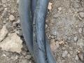 трос капота BMW 4 серия F32/F33 F32 2015, 2.0 л., N47 D20 C, дизель, АКПП, 475, купе, правый руль, 7313783 - фото №2