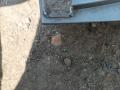 накладка на порог BMW X2 F39 2018, 2.0 л., i, B48 A20 A, бензин, АКПП, внедорожник 5 дв., передний привод, правый руль - фото №7