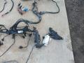 проводка двигателя BMW X5 E70 2008, 3.5 л., D, M57D30 (306D5), дизель, АКПП, 475, внедорожник 5 дв., полный привод, правый руль - фото №5