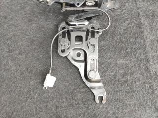 петля капота правая BMW X5 E70 [рестайлинг] 2013, 4.0 л., дизель, АКПП, 475, внедорожник 5 дв., правый руль, 7148348